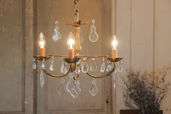 fl221017-a_grande.jpg?v=1697694727