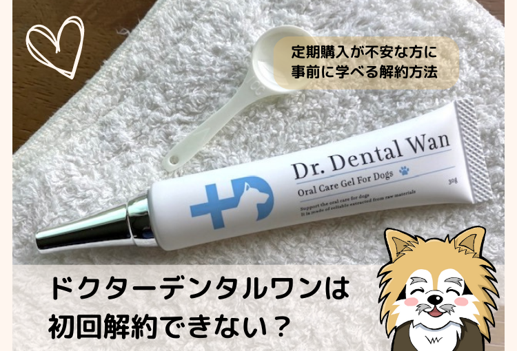 ドクターデンタルワン 口腔ジェル ドクターデンタルワン 4本セット 4本