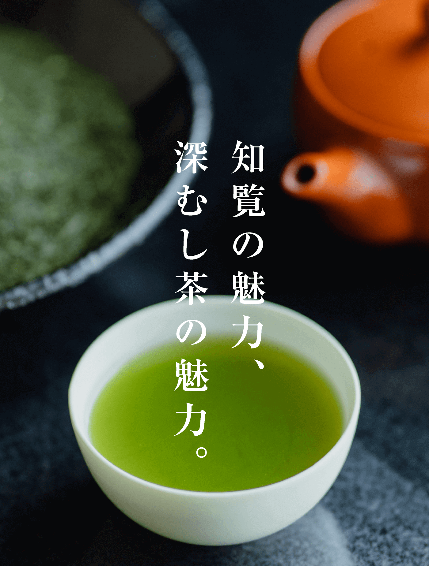 仁田尾 深むし茶 知覧茶 超特選 極上匠 知覧 お茶