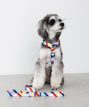 shuna_daisy_hs_180x.jpg?v=