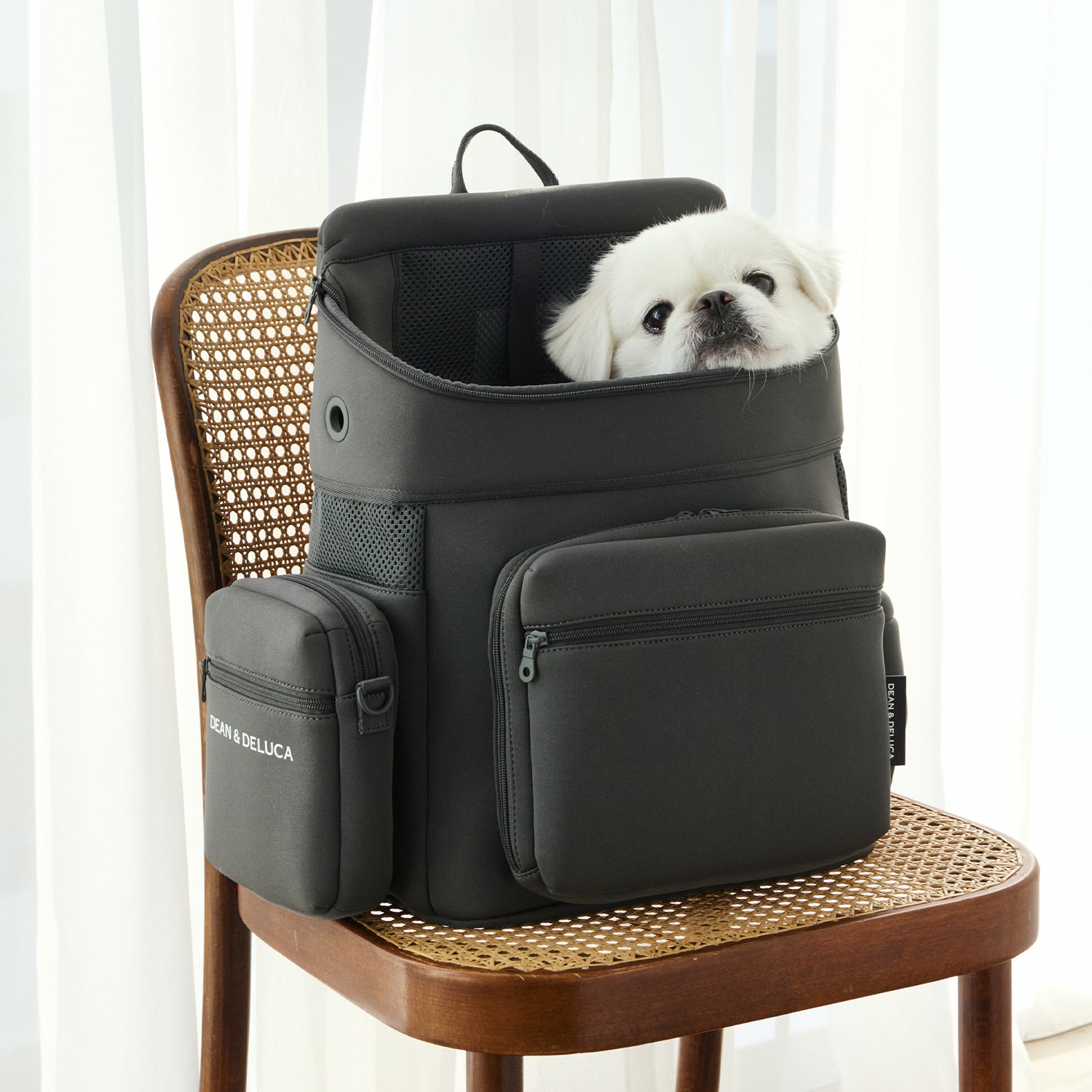 DEAN ＆ DELUCA ｜ CITY DOG バッグパックキャリー – CITYDOG