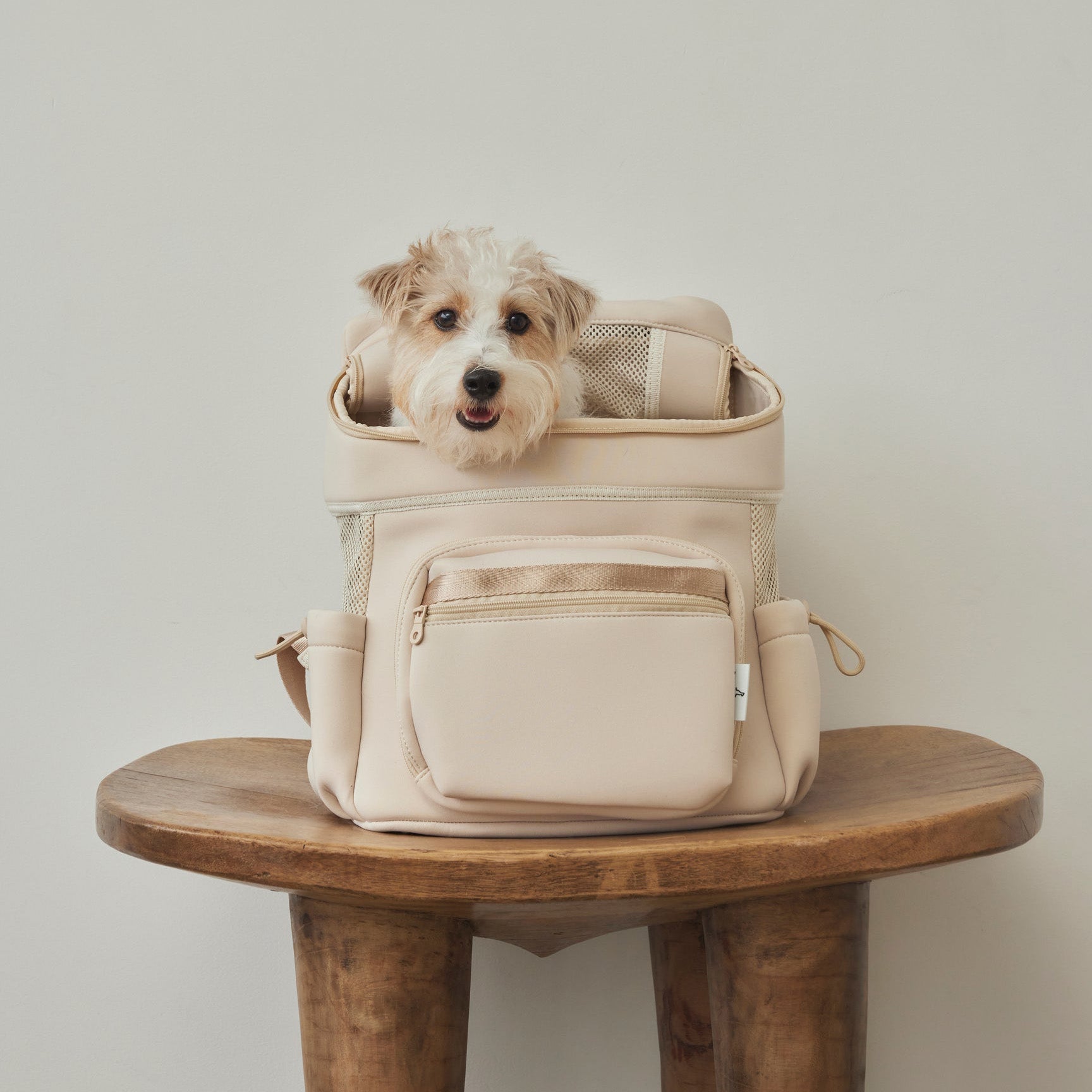 202305299772_square_2048x.jpg?