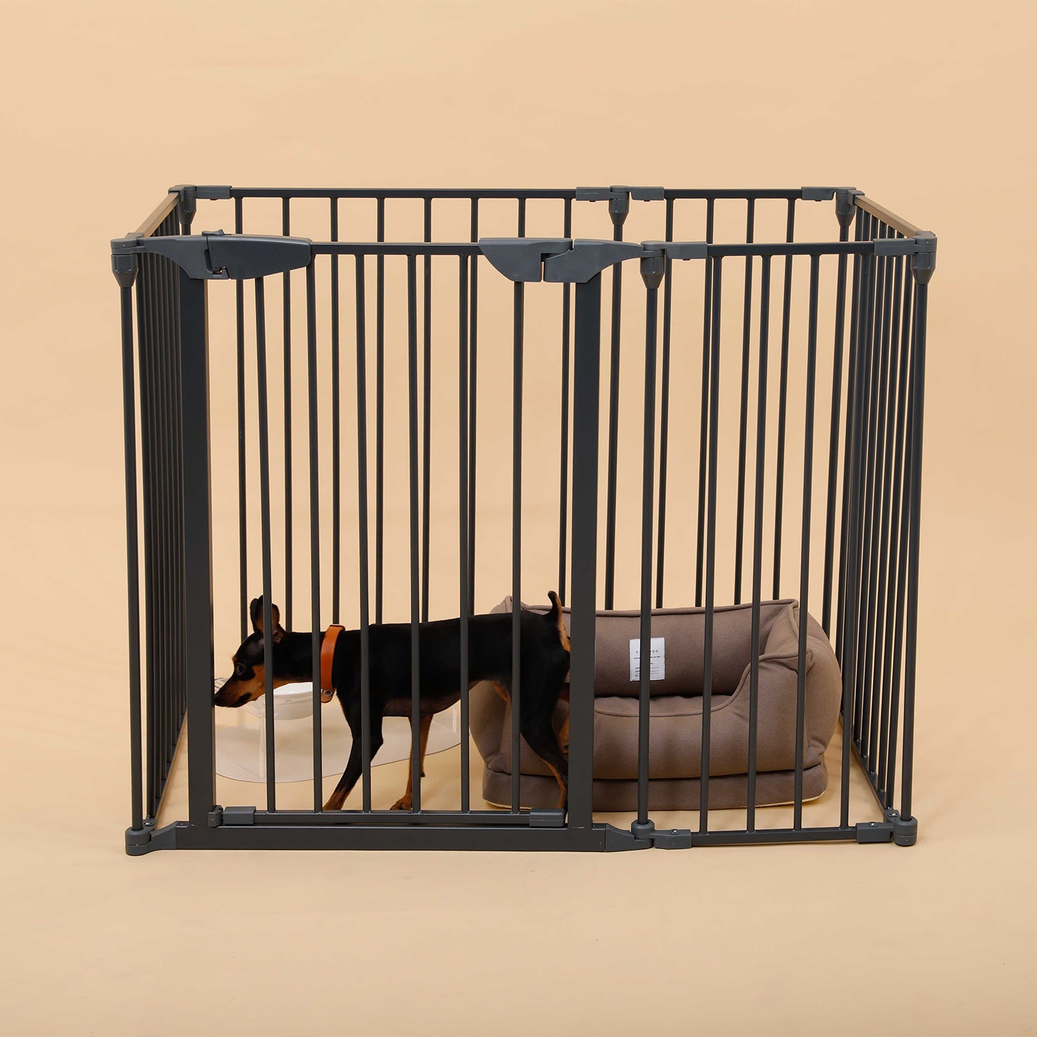 犬用ケージ ゲージ サークル CITYDOG(シティドッグ) SIMPLE MODERN