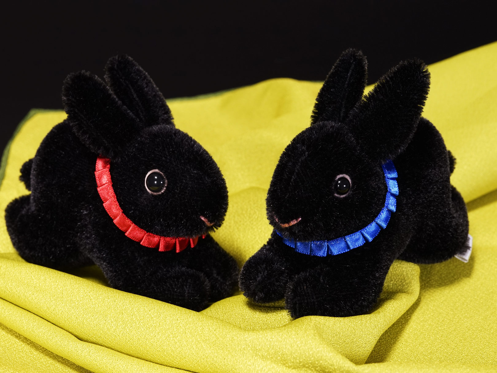 ひだえりを付けた黒ウサギ - nakimusicomusi