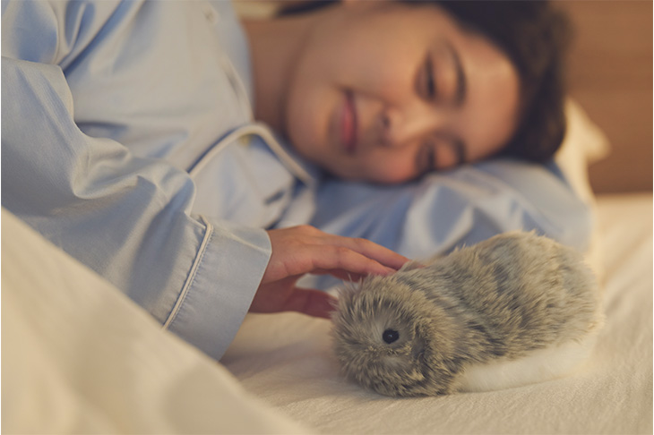 モフリン ゴールド moflin Moflin(ゴールド) | CASIO