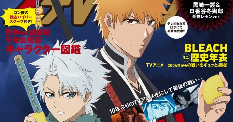 日番谷冬獅郎」検索結果 | アニメイト 激レア BLEACH フォトアルバム