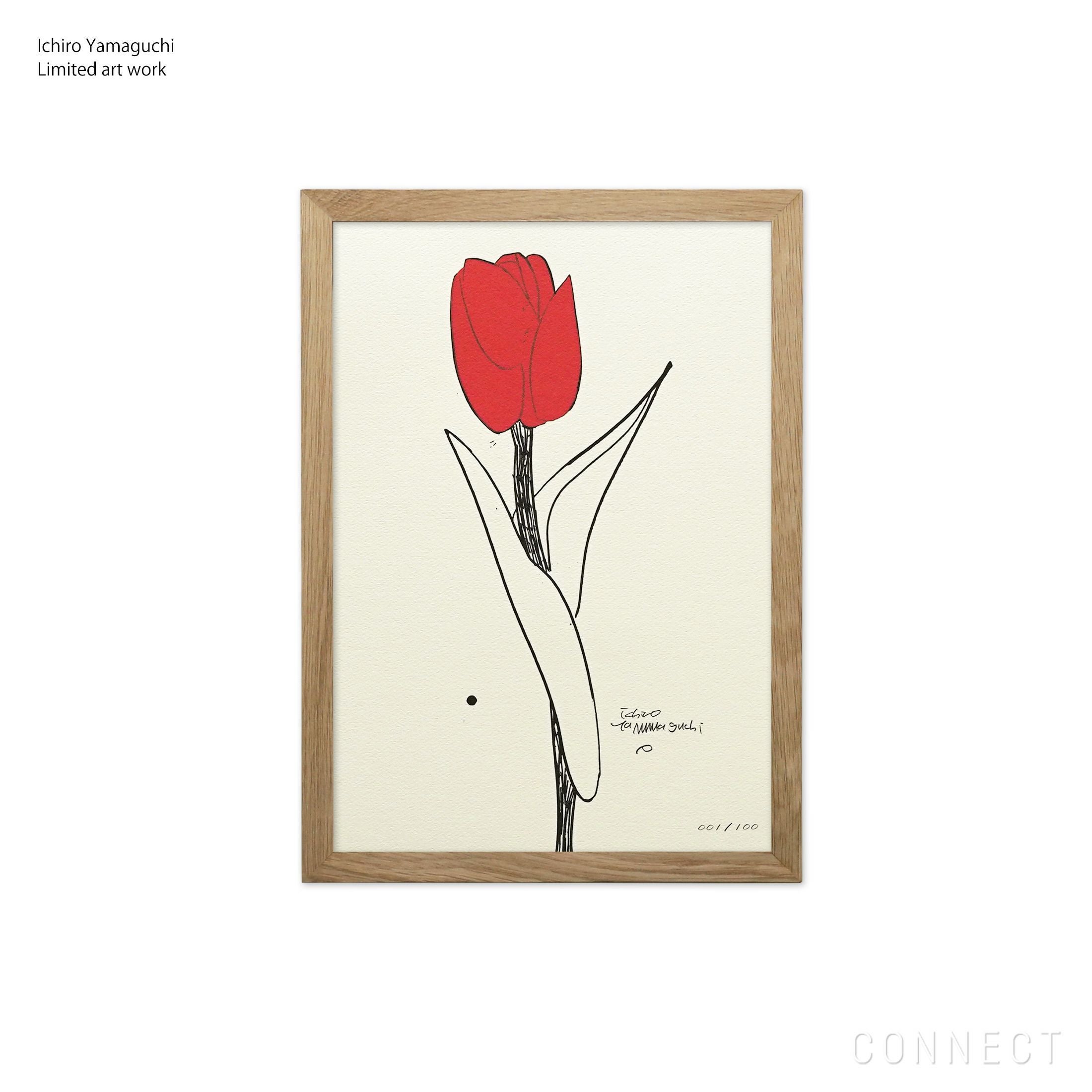 山口一郎 / Giclee（ジクレー印刷）「チューリップ」 / Sサイズ