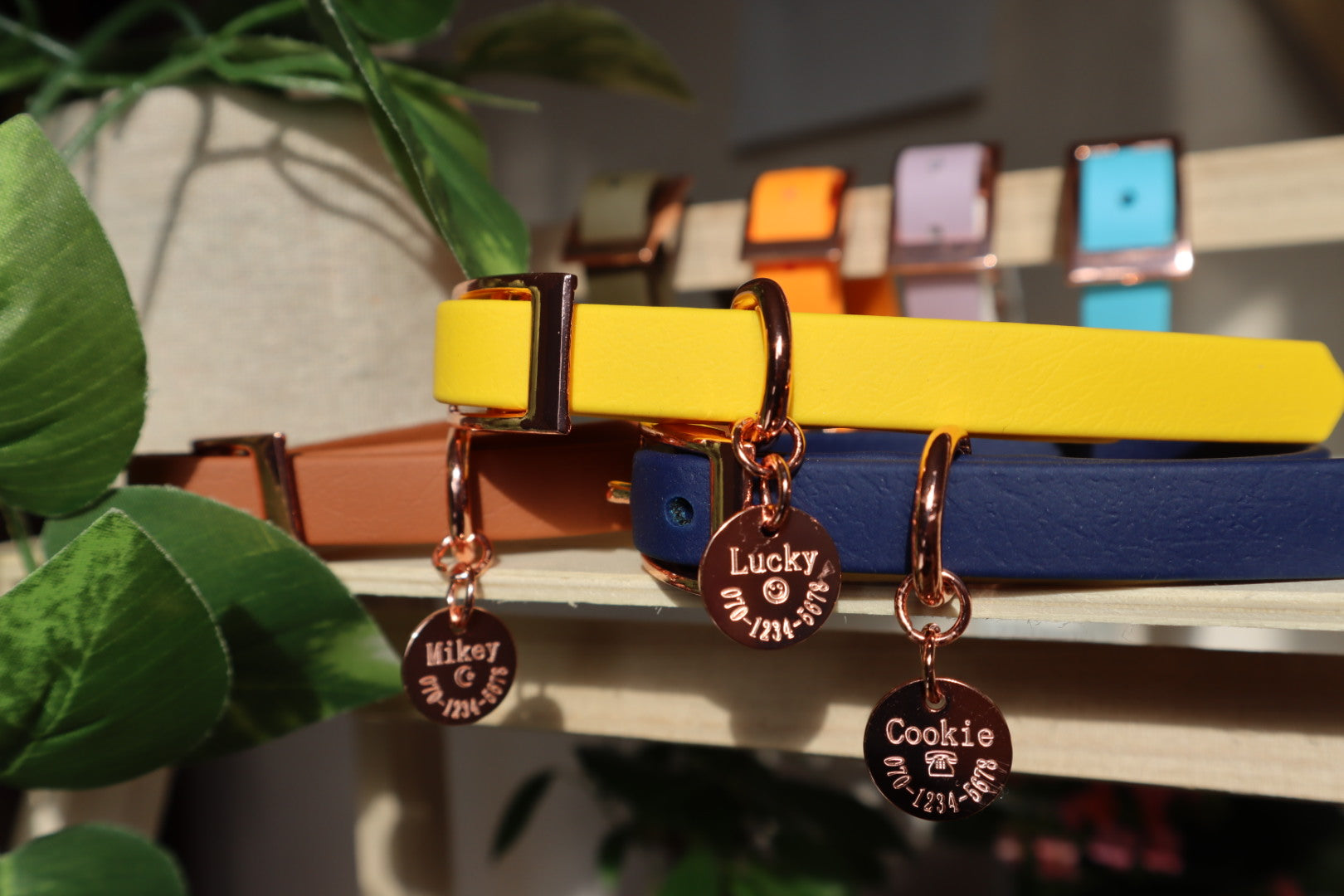 いちご大福様ご確認用】☆レッスンバッグチャーム→犬の迷子札チャーム