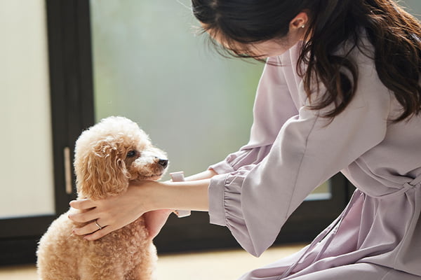 獣医師監修】手づくりフレッシュドッグフード／ココグルメ【公式】