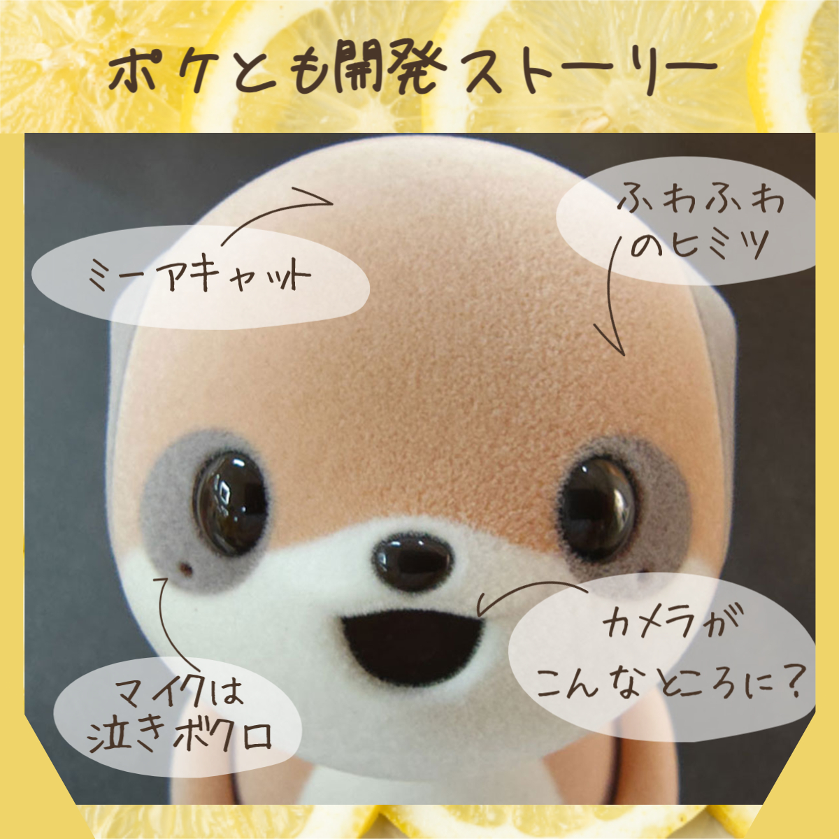 シャープ公式通販】 ポケとも本体|SR-C01M-W ｜COCORO STORE（ココロ