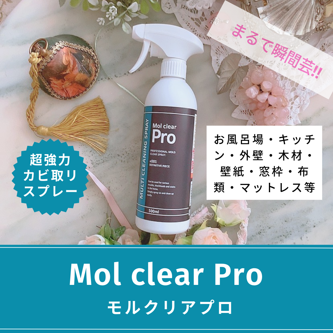 モルクリアプロ カビ取り Mol clear Pro カビ除去スプレー 480ml ☆Mol
