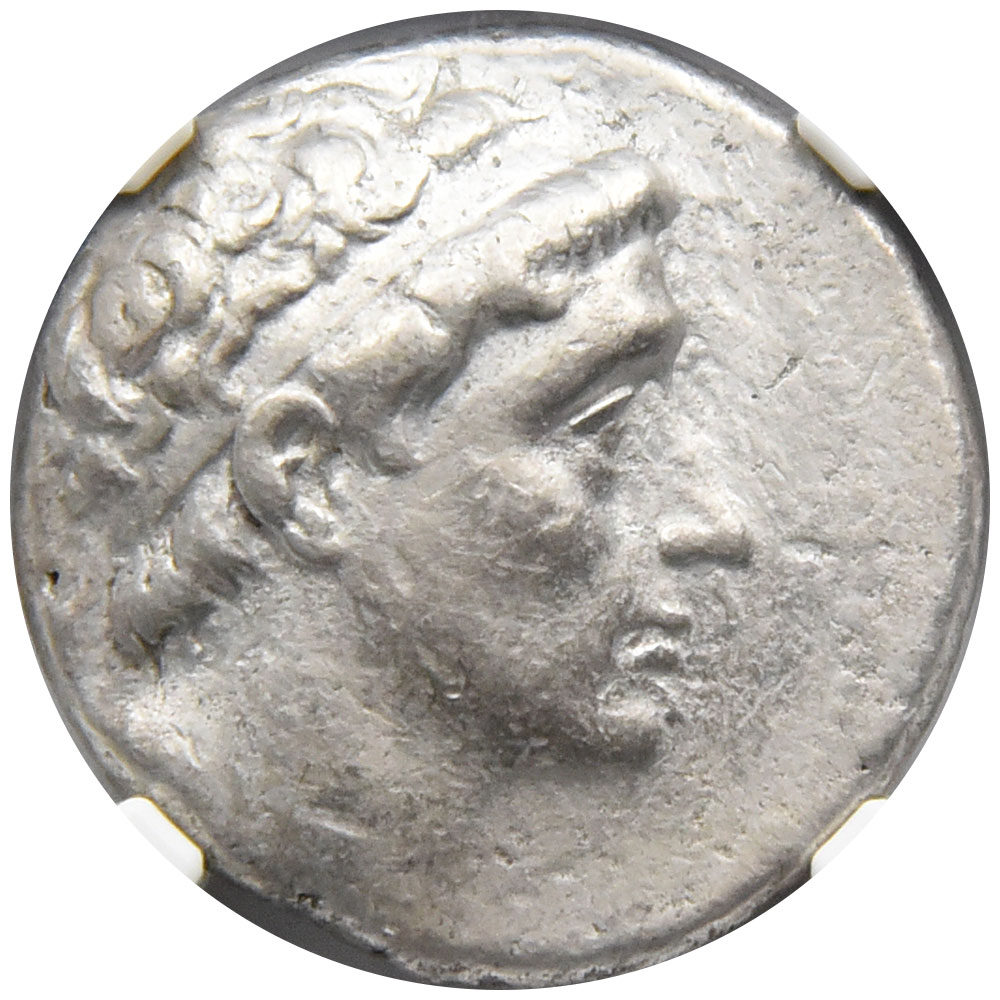 古代ギリシャ セレウコス朝 261-246 BC アンティオコス2世 テトラ