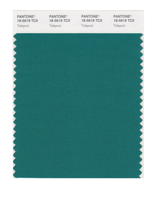 Pantone SMART Color Swatch Card 18-5619 TCX Tidepool - Columbia