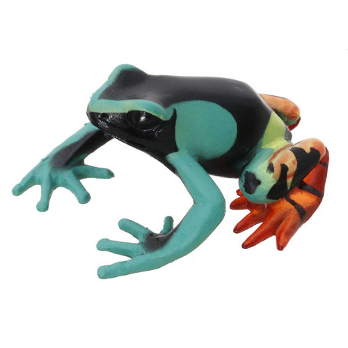 動物 生物 立体図鑑 フロッグボックス / カロラータ オンラインショップ