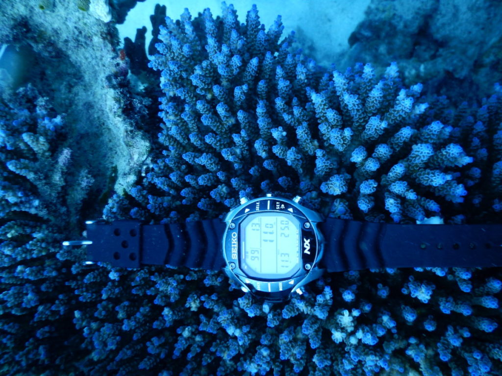 京セラアクアリウムLED アクアブルー | コーラルラボ 京セラ