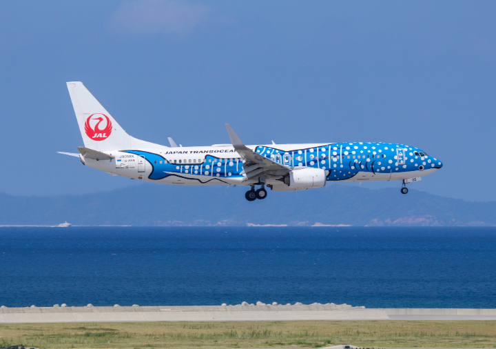 JTA ボーイング737-800 さくらジンベエ: JTA・RAC関連商品／JTA and
