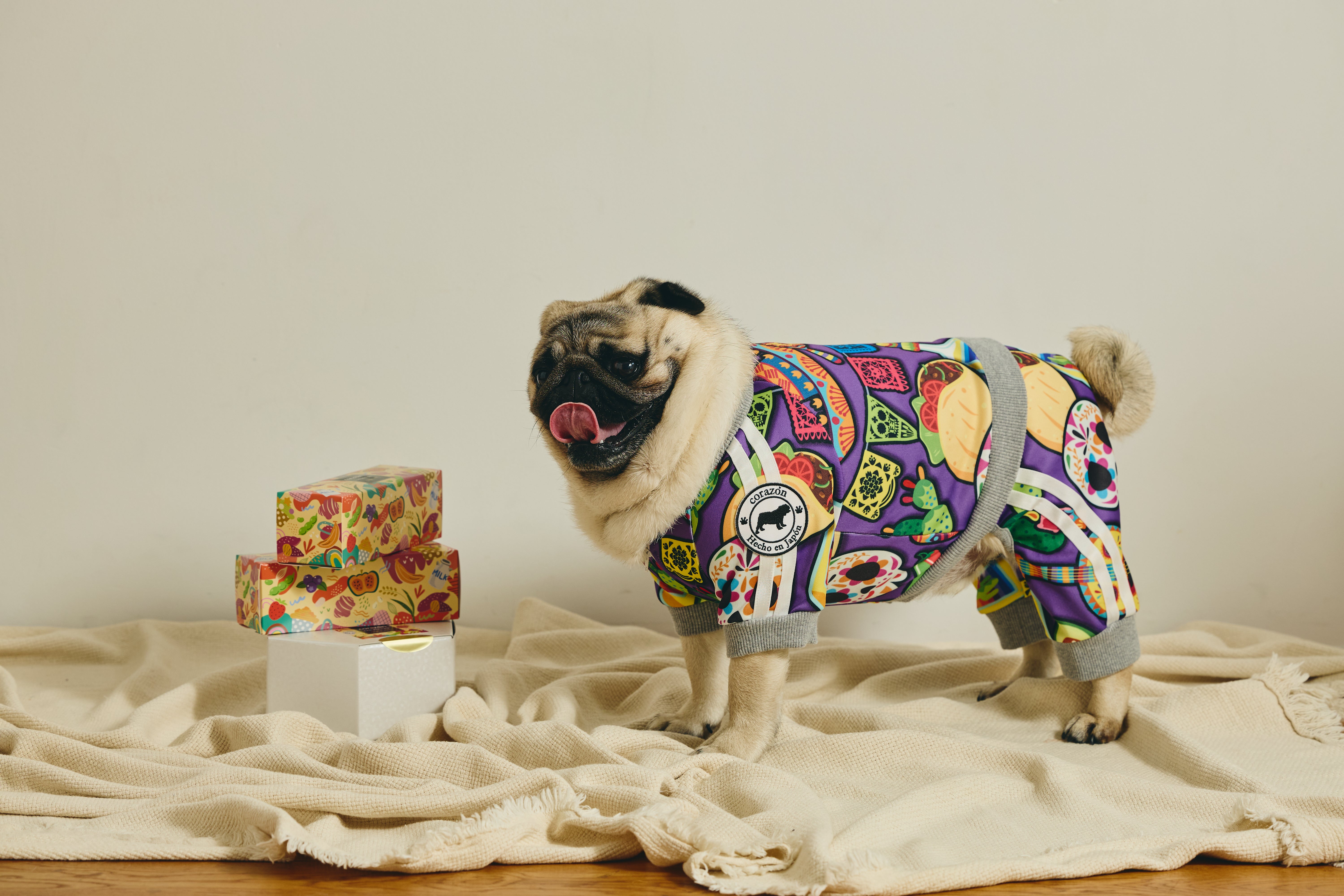 corazón』北斗晶プロデュースペット服D2Cブランド – ペット服【corazón