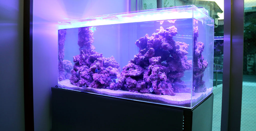 ❖新品アク抜き不要 人工ライブロック 60cm海水水槽用 レプリカ 多孔質