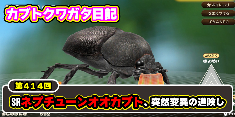 カブトクワガタ日記】第414回 SRネプチューンオオカブト、突然変異の道