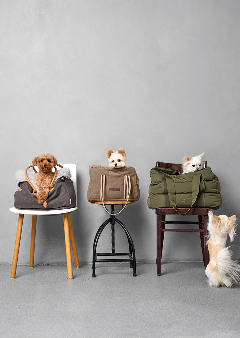 Dog Carriers & Handbags for Small and Medium Dogs | CLOUD7