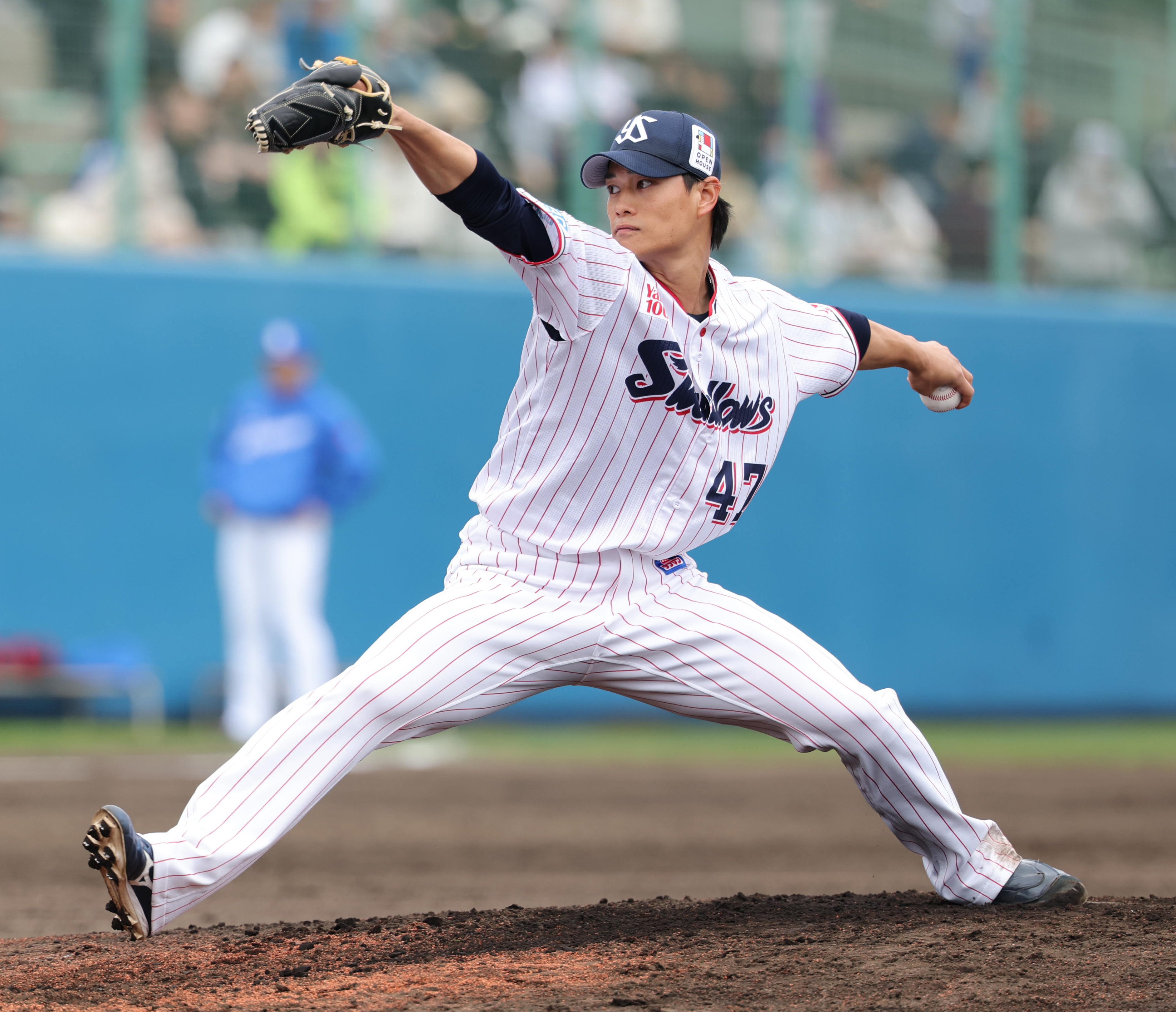 東京ヤクルトスワローズ高橋奎二投手 初勝利記念 直筆サイン入りフォト