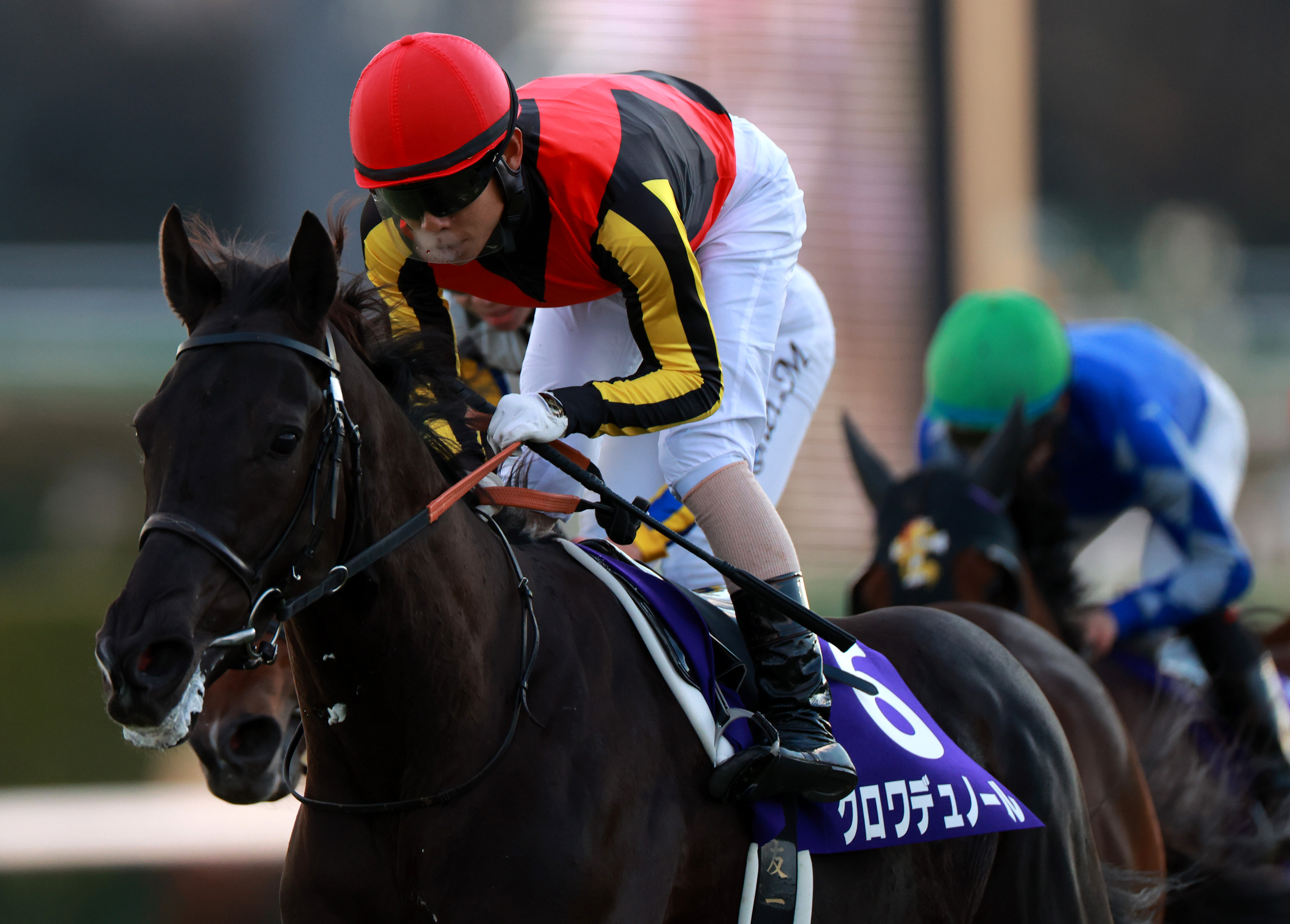 2025年 ホープフルステークス クロワデュノール ポスター 2025