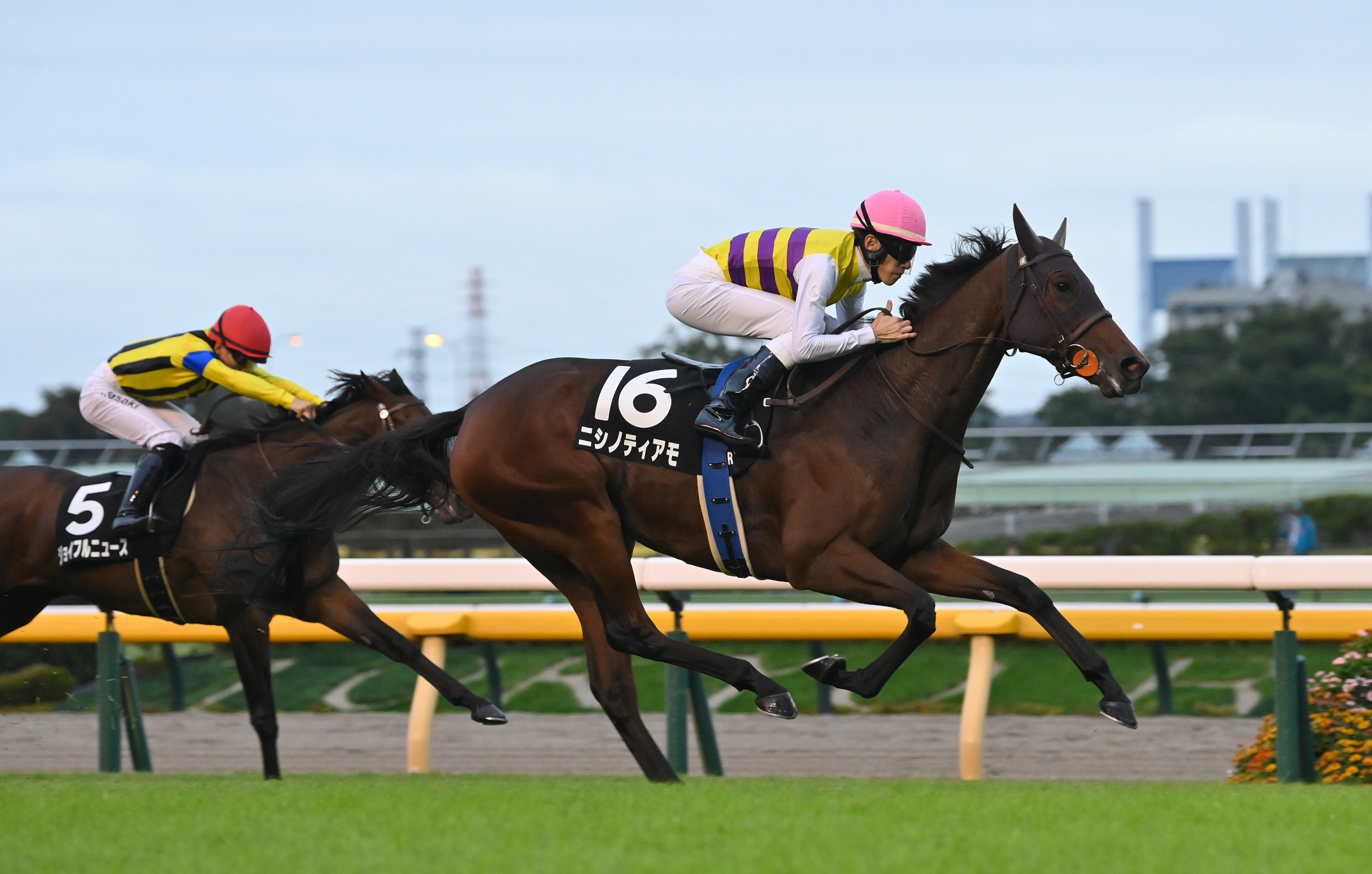 福島競馬・福島記念】ニシノティアモが4連勝で重賞初制覇だ！ 本日の