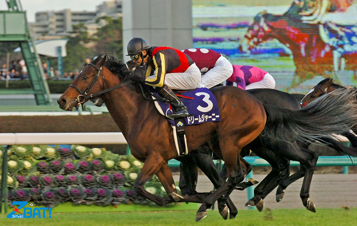 競馬】ドリームジャーニー（2009年産経大阪杯）額入りミニゼッケン