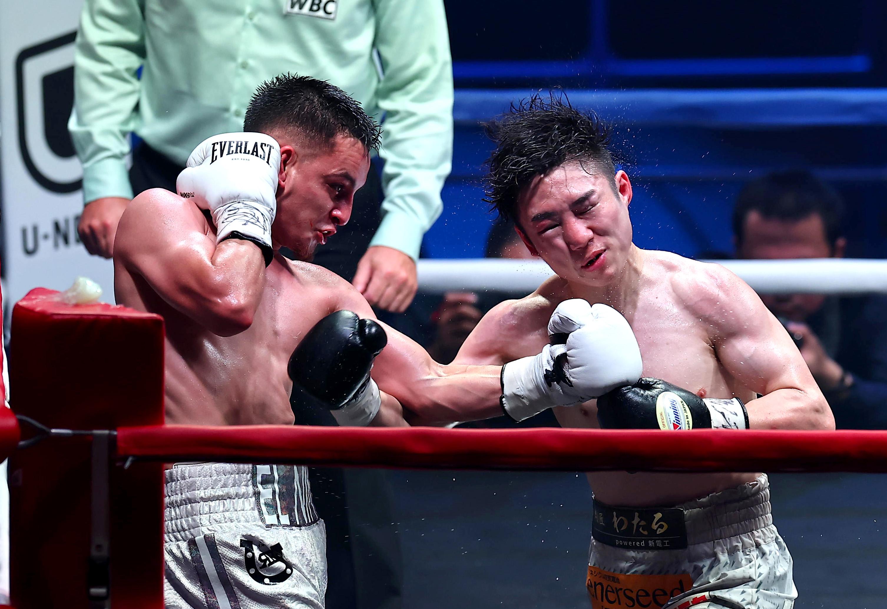 内山高志 サイン入りボクシンググローブ 内山高志 直筆サイン入り