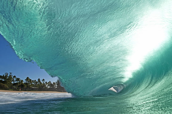 Pineapple Express - Clark Little Photography