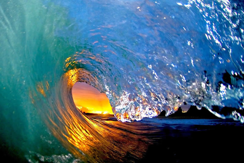 Orange Crush - Clark Little Photography