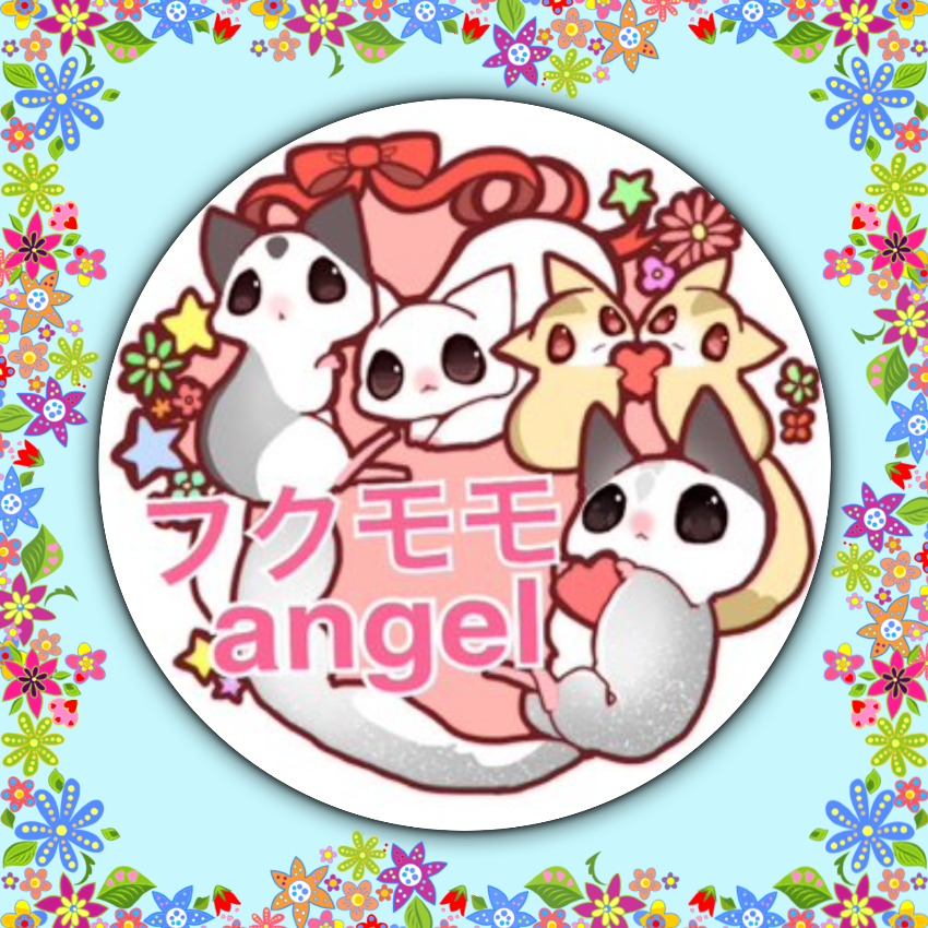 フクロモモンガ販売.ブリーダー九州.福岡.北九州 フクモモangel