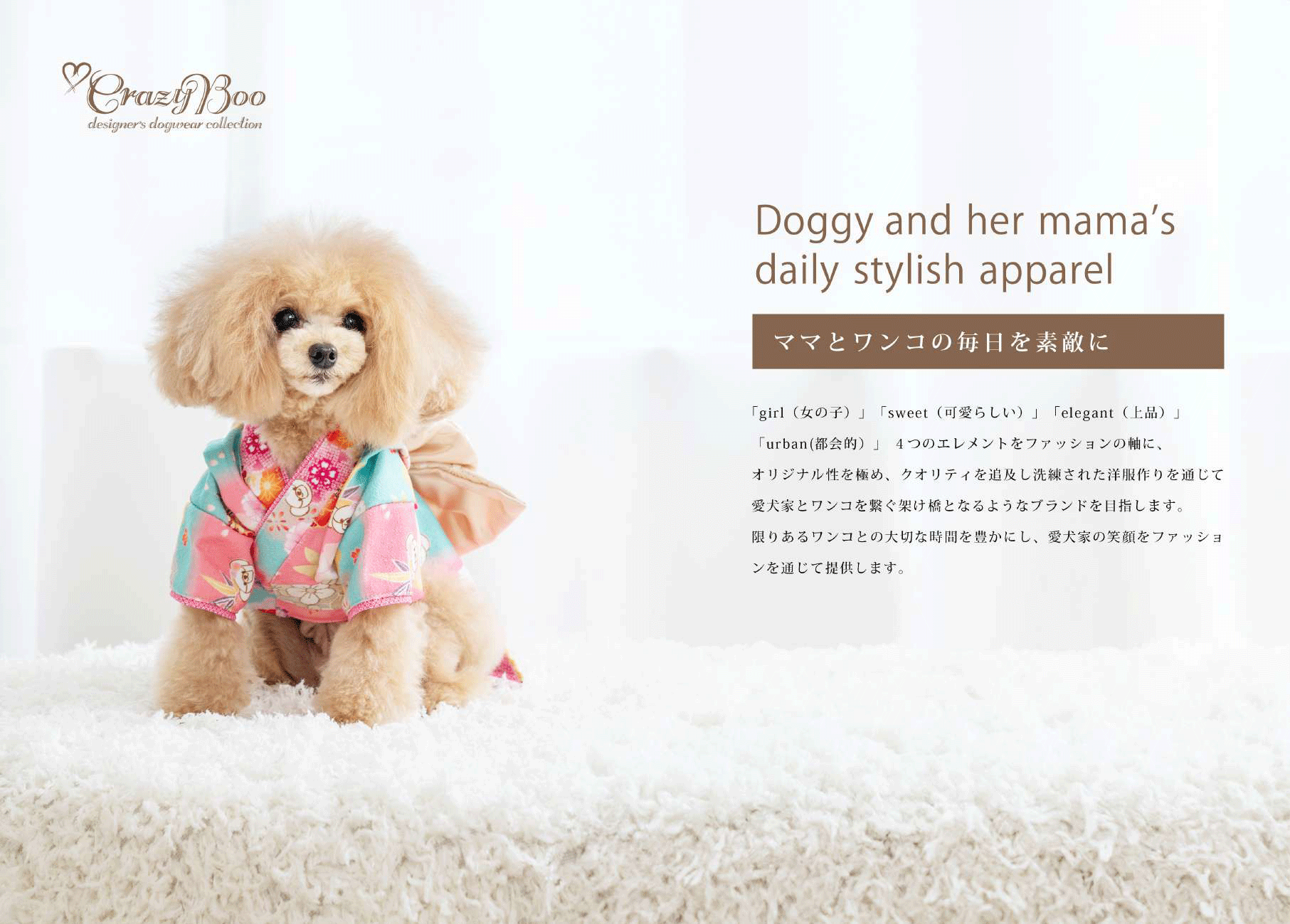 犬服 3S わんこの普段着青いちご