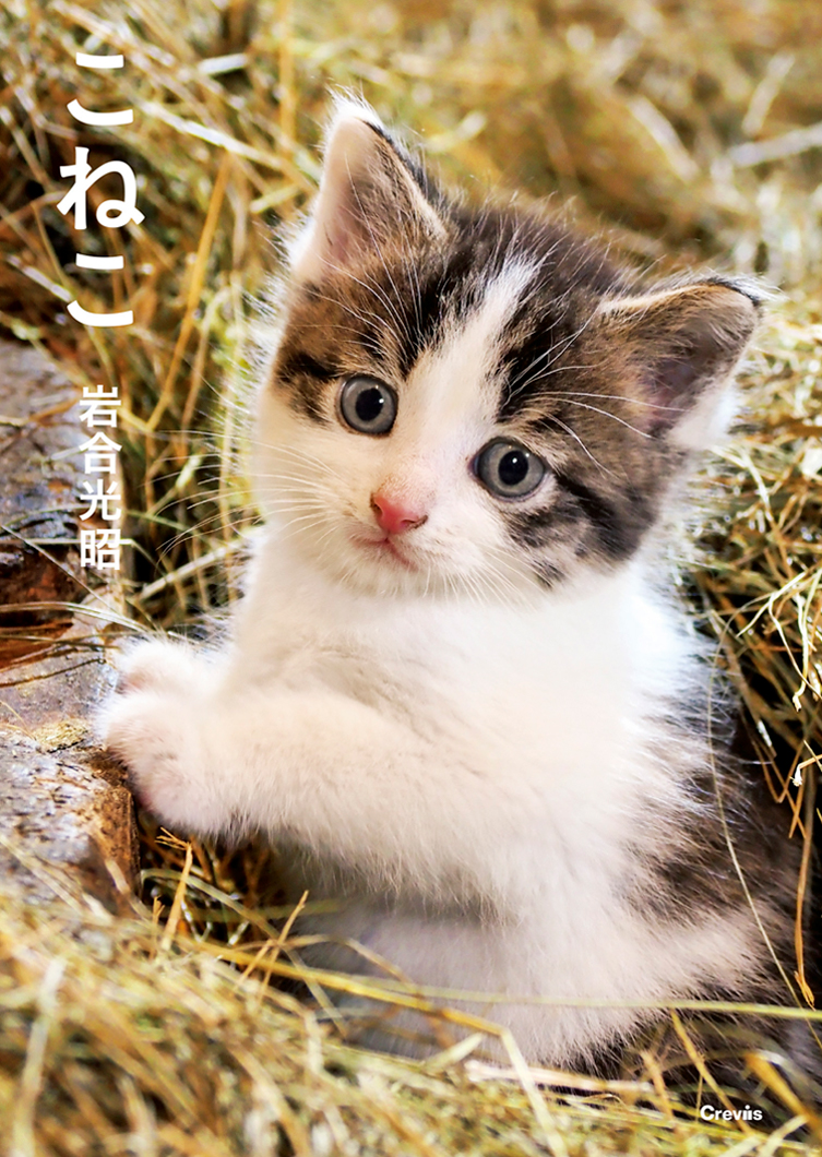 写真文庫『こねこ』 | 株式会社クレヴィス