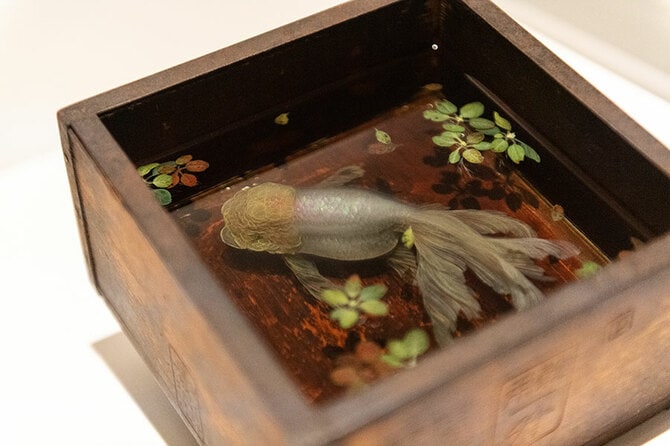 まるで生きているかのよう 金魚絵師・深堀隆介が描く 幻想的な「金魚鉢