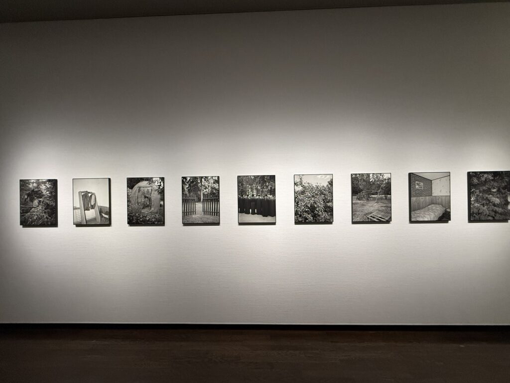 森山大道が見た視線から新たな感性と創造を紡ぐ「複製される感性 DAIDO