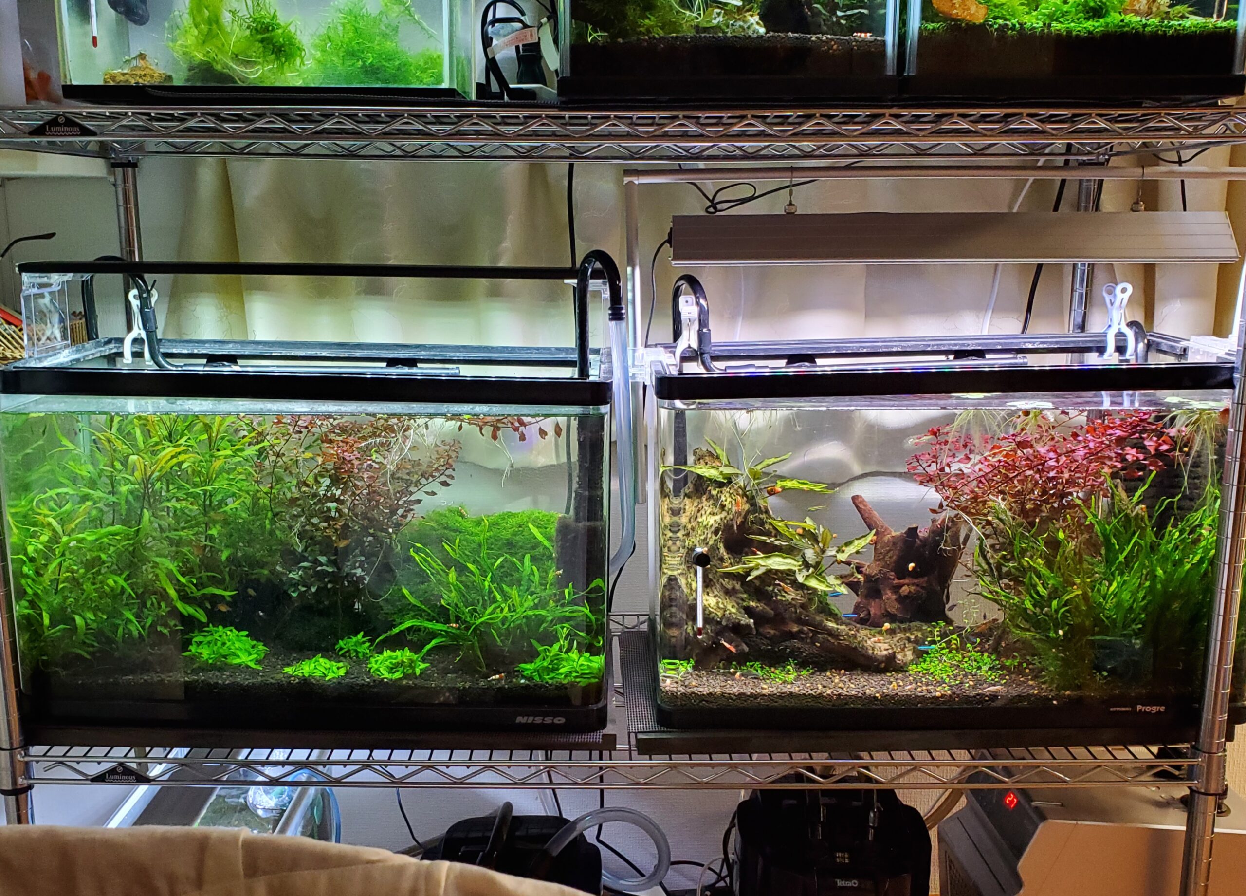 スチールラックに水槽を乗せてみる