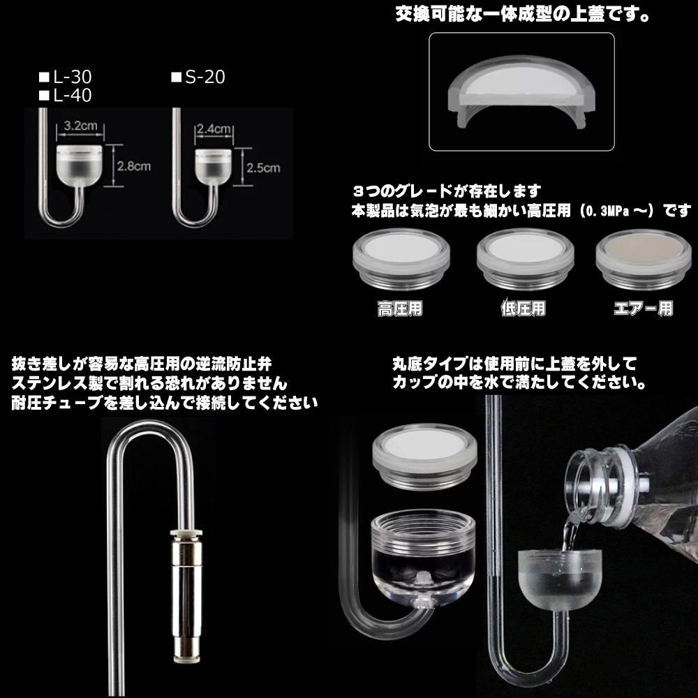 ADA パレングラス 20周年 限定品 ADA パレングラス・ラージ20Ø