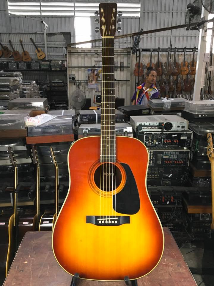 Morris MD-502 アコースティクギター 【公式通販】