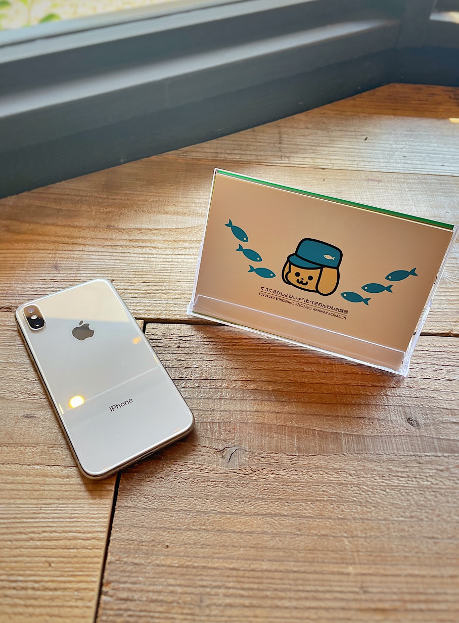 水族館のおみやげポストカードセット｜ウサギがいる｜CUNE ONLINE STORE