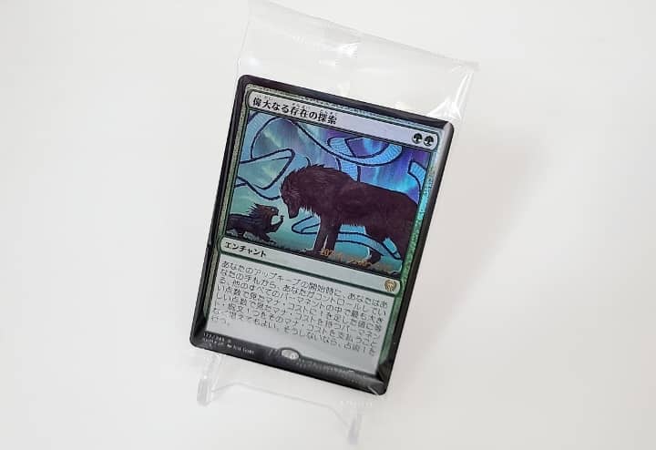 MTG カルドハイム プロモパック 18パック MTG カルドハイム プロモ