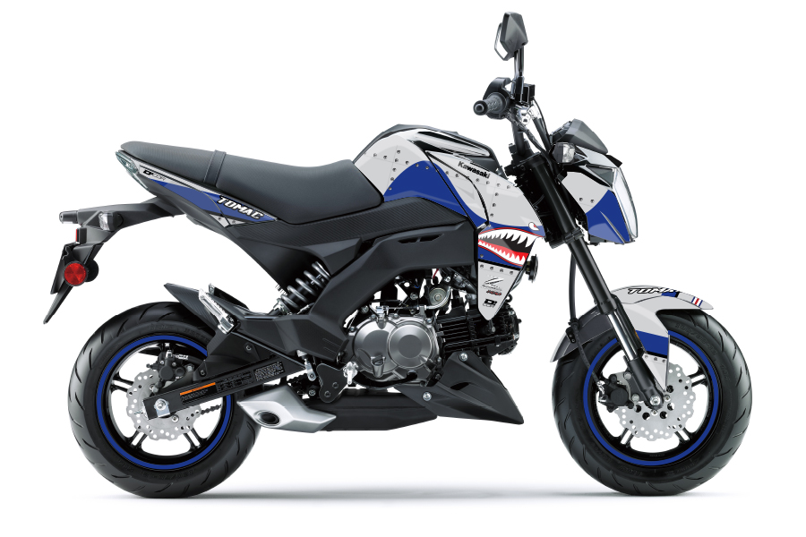 Pink Flame Z125 Pro (17-25) - DCOR Visuals