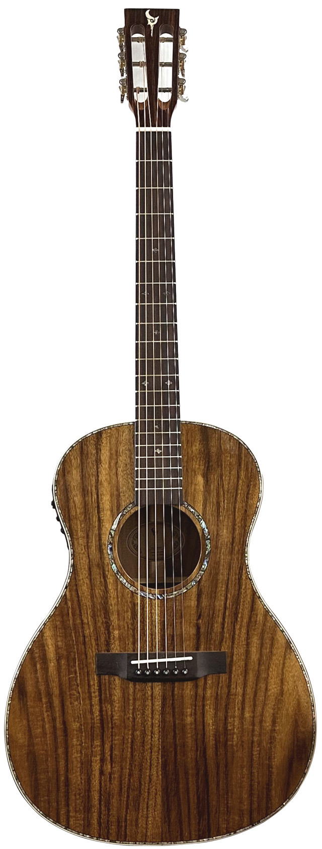 エレアコ DCT F-200E Fishman搭載 エレアコ DCT F-200E Fishman搭載