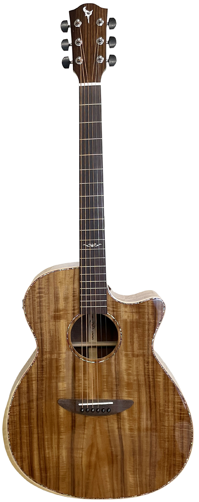 DCT F-300E エレアコ (管理イオ)