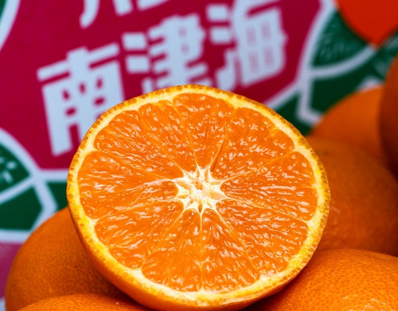 JA蒲郡市 『完熟なつみ（南津海）』愛知県産 柑橘 優〜秀 S〜L 約2.5kg