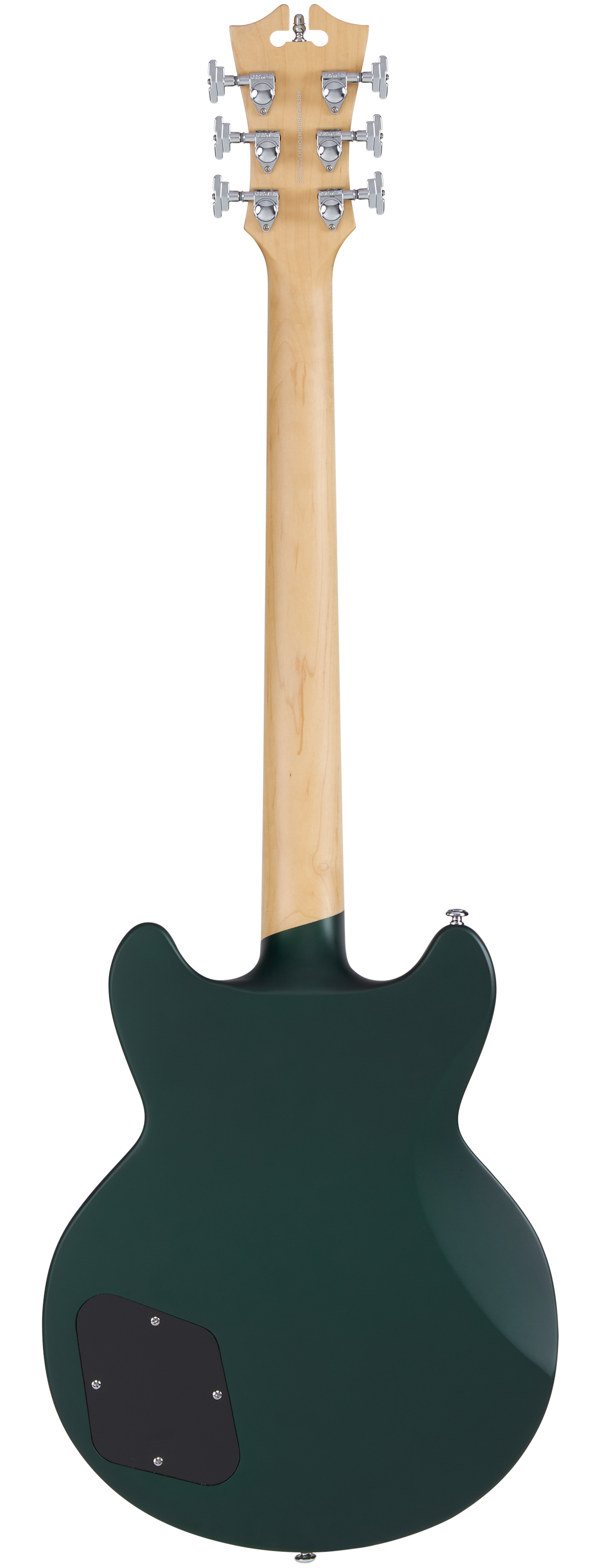 Premier Brighton - D'Angelico Guitars