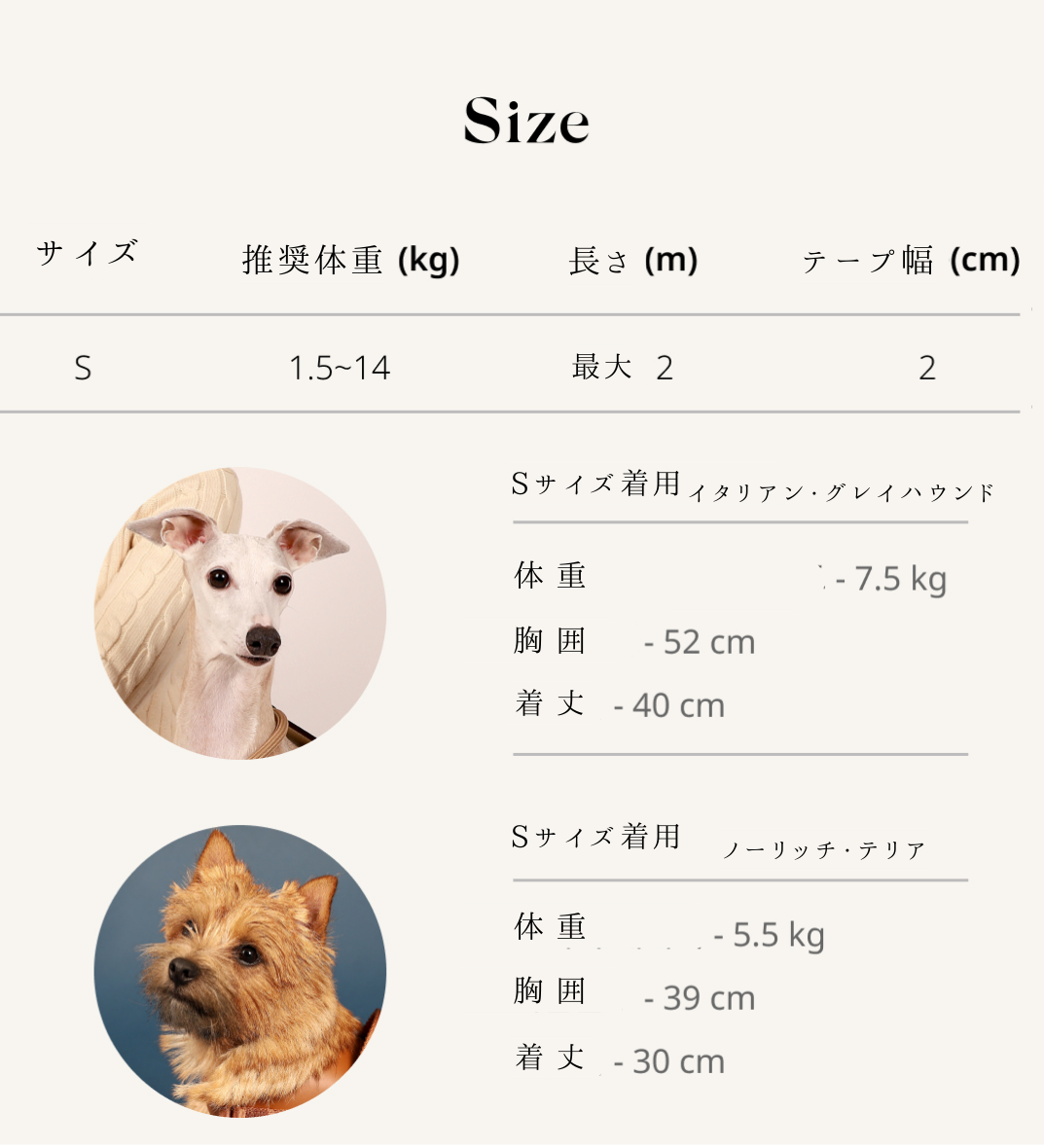 hozi（ホジ） サドルハンズフリーリーシュ ＜S/Lサイズ＞ – DADADA