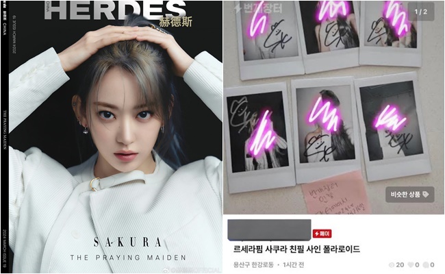 LE SSERAFIMサクラ 宮脇咲良 少年チャンピオン抽プレ 直筆サインポラ