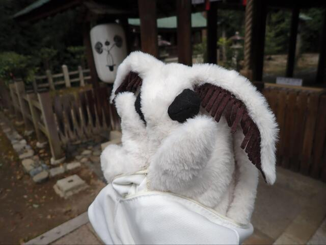 大きなカイコを作って愛でる (1/2) :: デイリーポータルZ