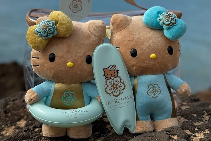 レア】ご当地キティ ハワイ限定 アロハ 根付け ハワイ限定の日焼け